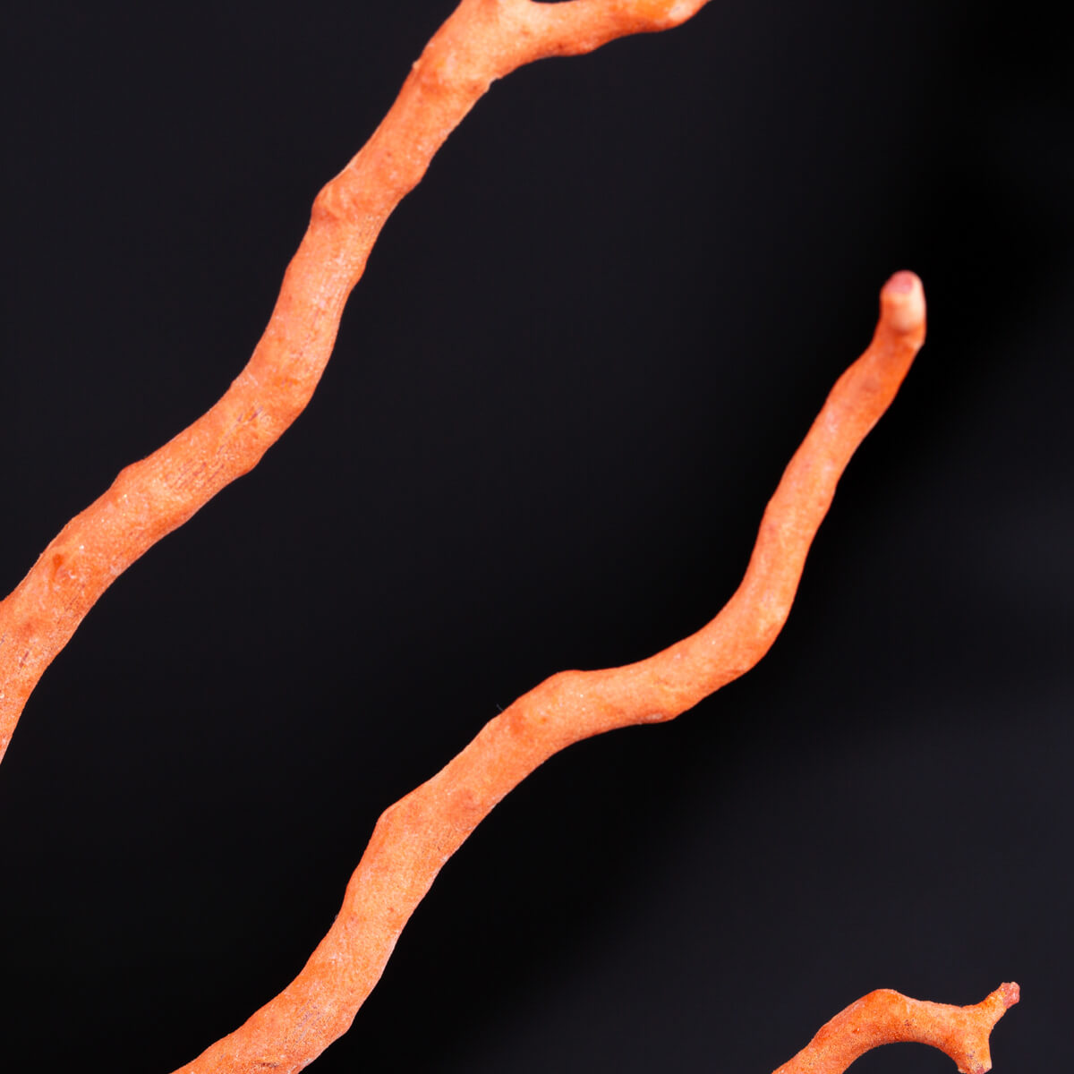 473007_6 473007_6